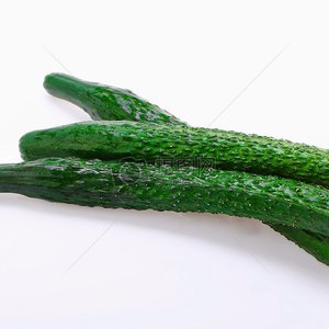 黄瓜 水果5斤 - 寿光蔬菜产业