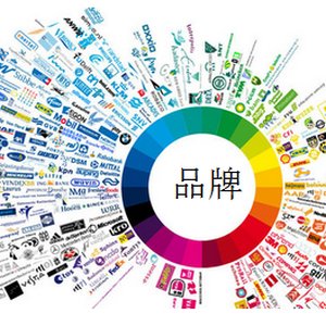 品牌加工 运动T恤 - 百锋(福建)