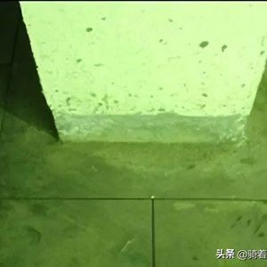 2026上海宠物用品展览会